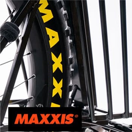 Maxxis Tires 